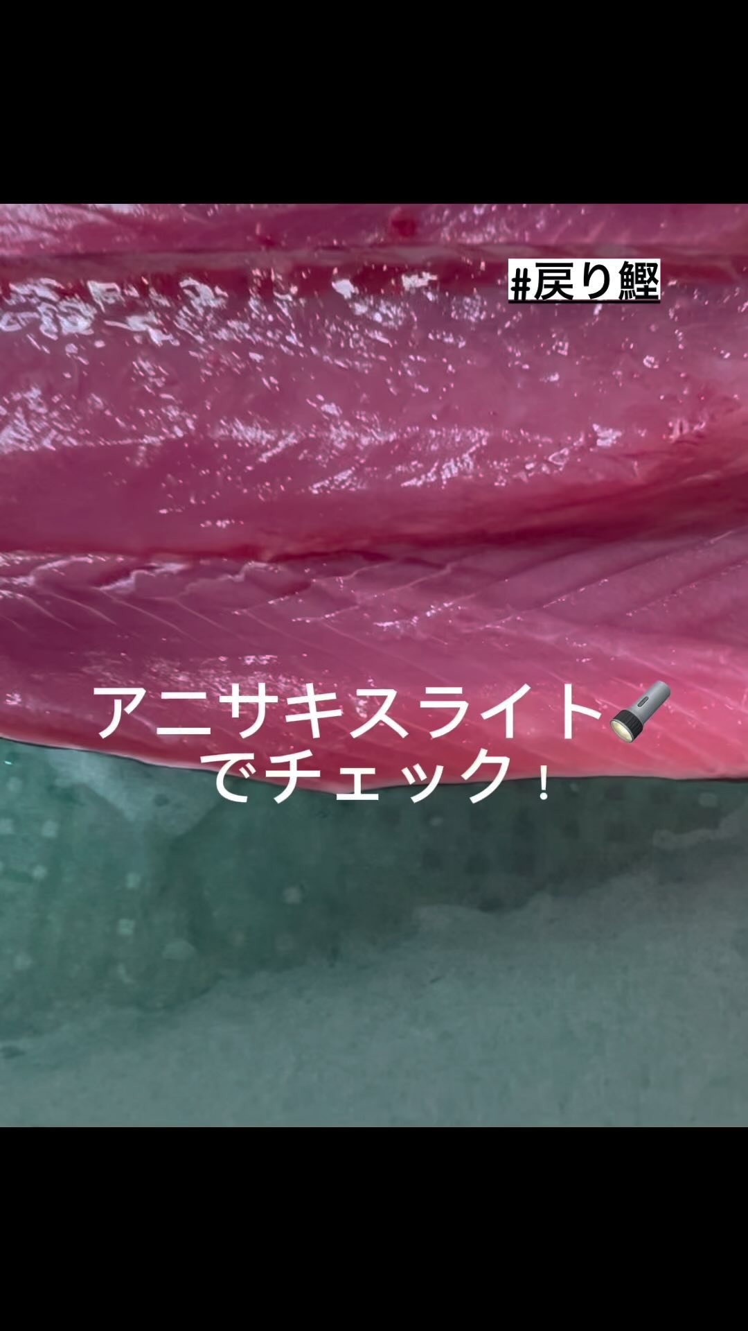 鰹 の たたき アニサキス