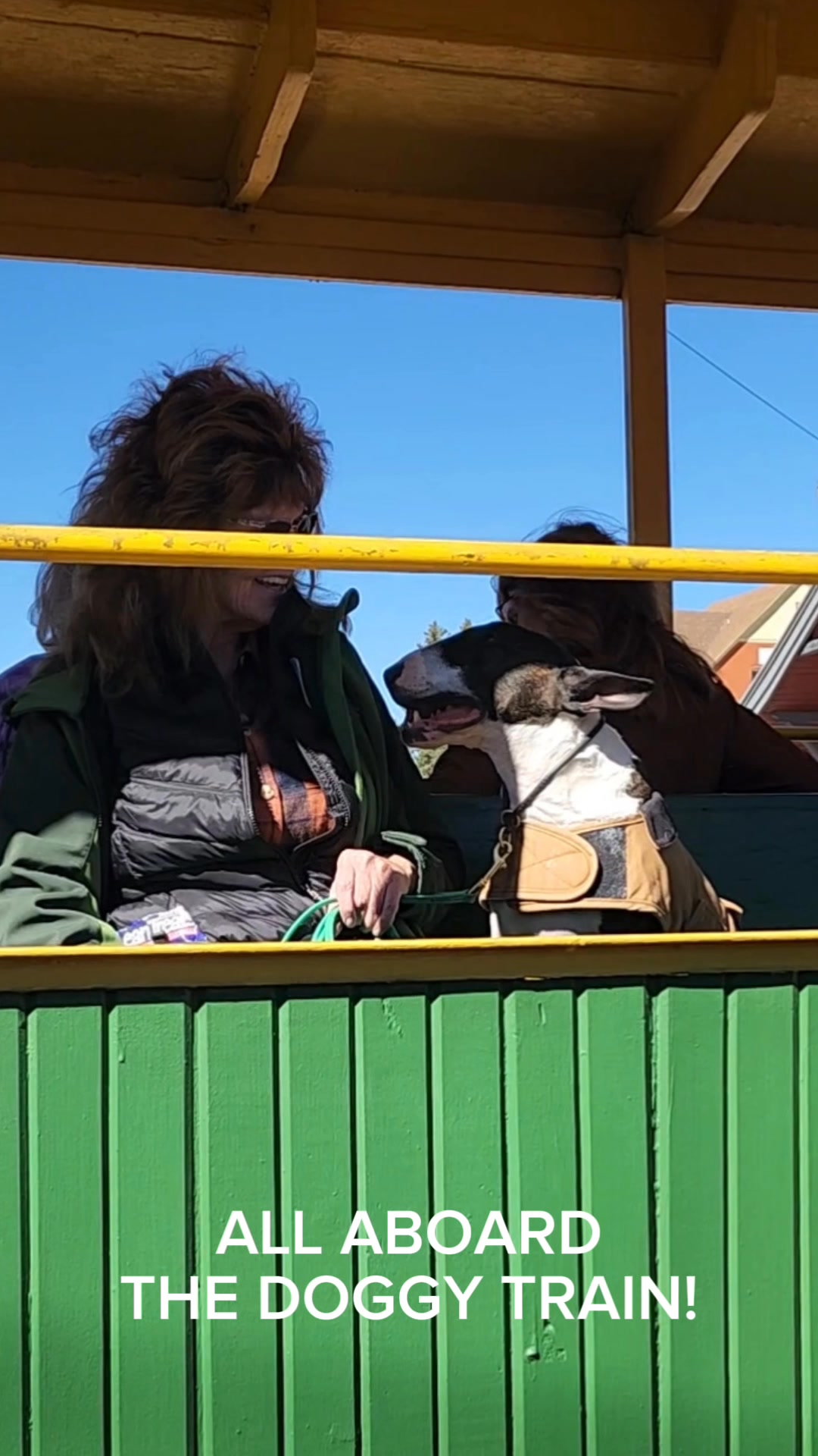 ALL ABOARD! 🚂🐕‍🦺 The Doggy Train is rolling through Cripple Creek! Did ...
