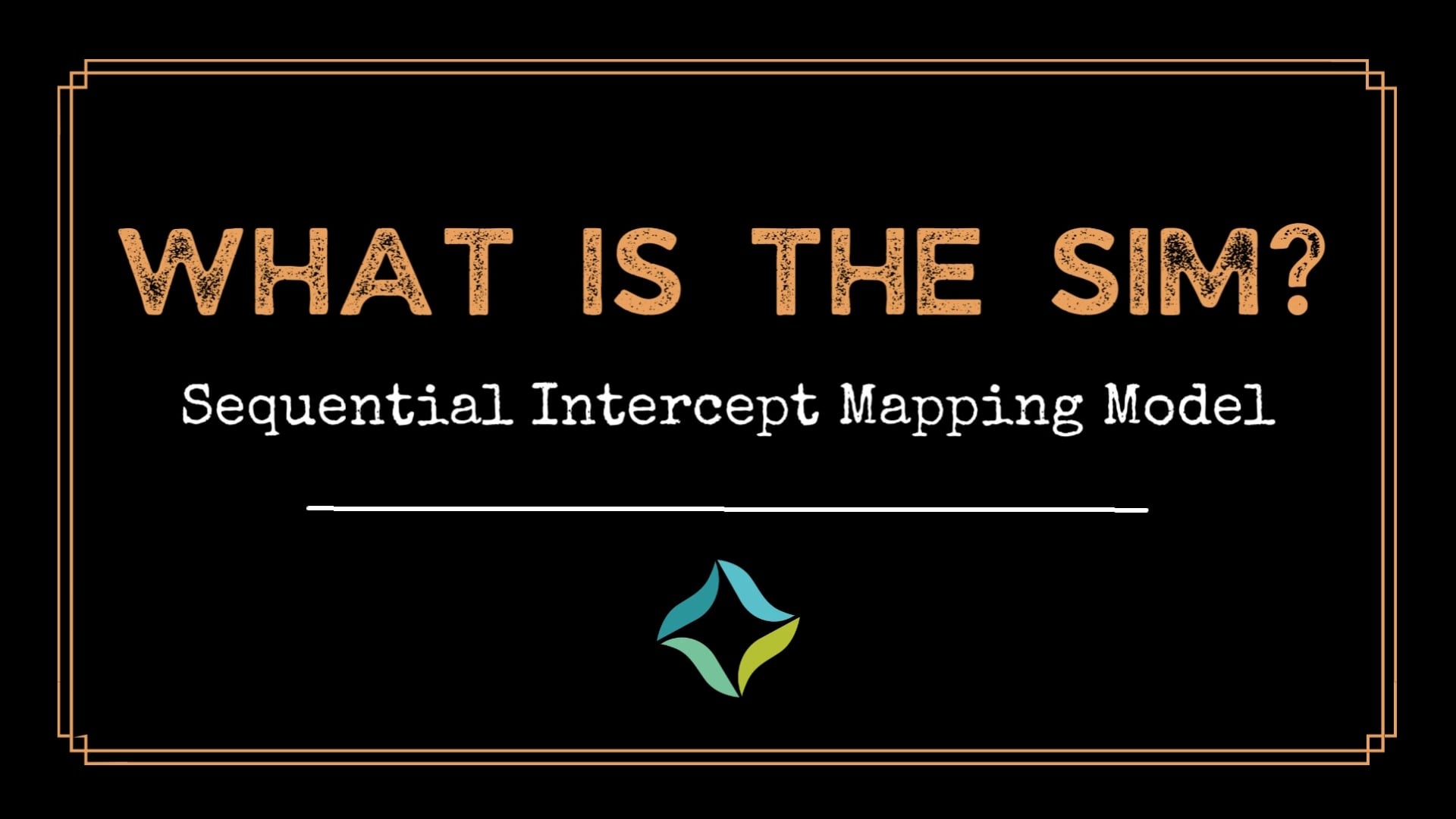 What is the SIM? This info video provides a light overview of the ...