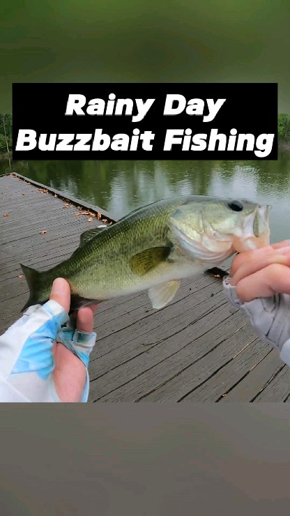 rod holder ice fishing E-Hub Baitcasting Reel Handle Securely transport you ice Lowrance HDS-7 LIVE Fishfinders Size:8000