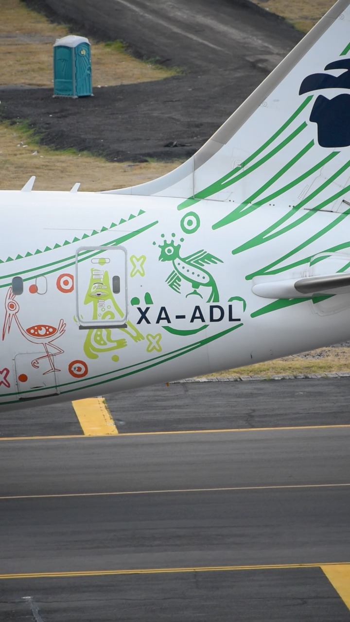 Runik exhibition by Petrit Halilaj at Mexico City's airport