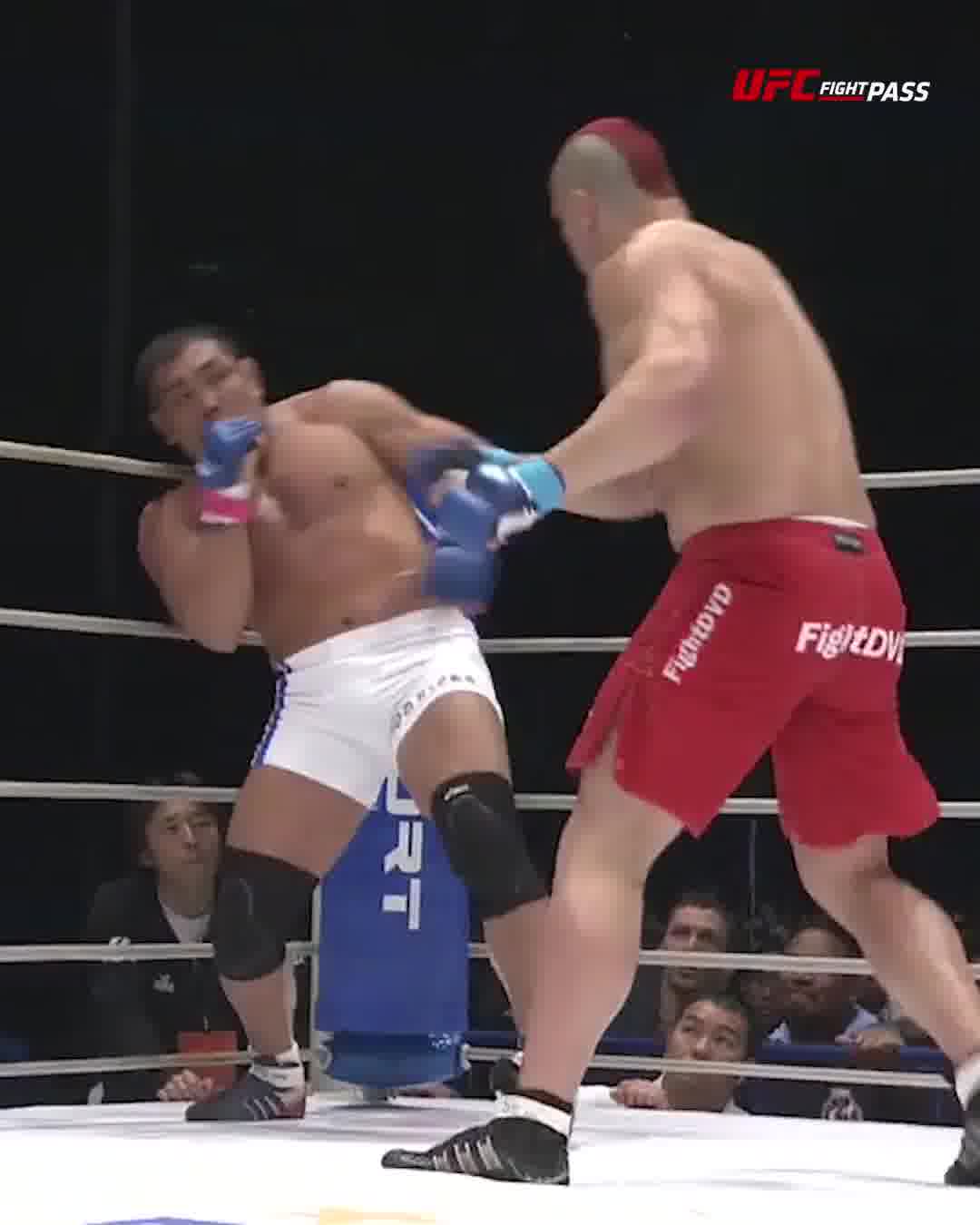 A heavyweight brawl! Access The World's Largest Fight Library | https ...