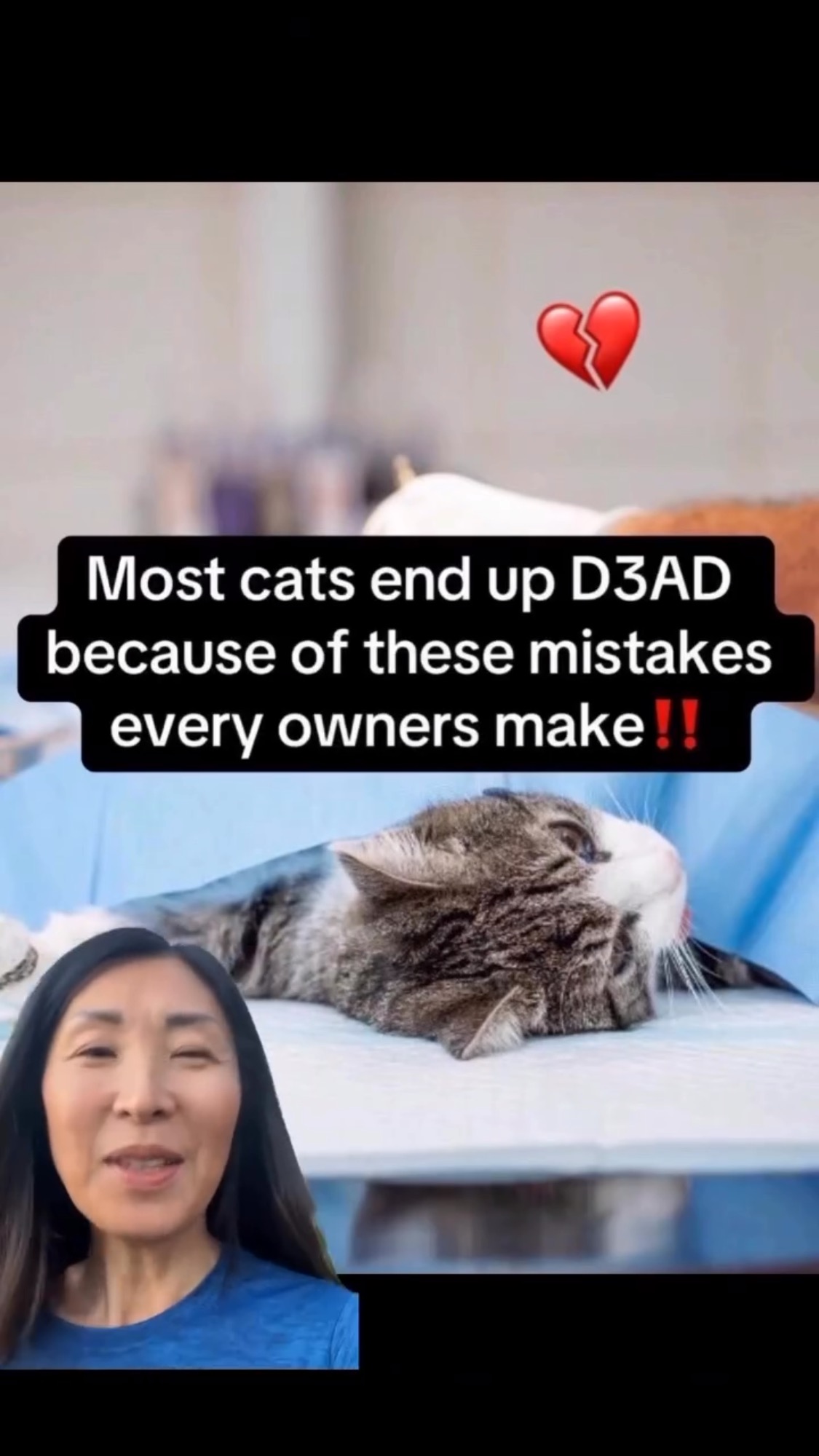 My cats ONLY eats human grade foods , ground rabbits including organs ...
