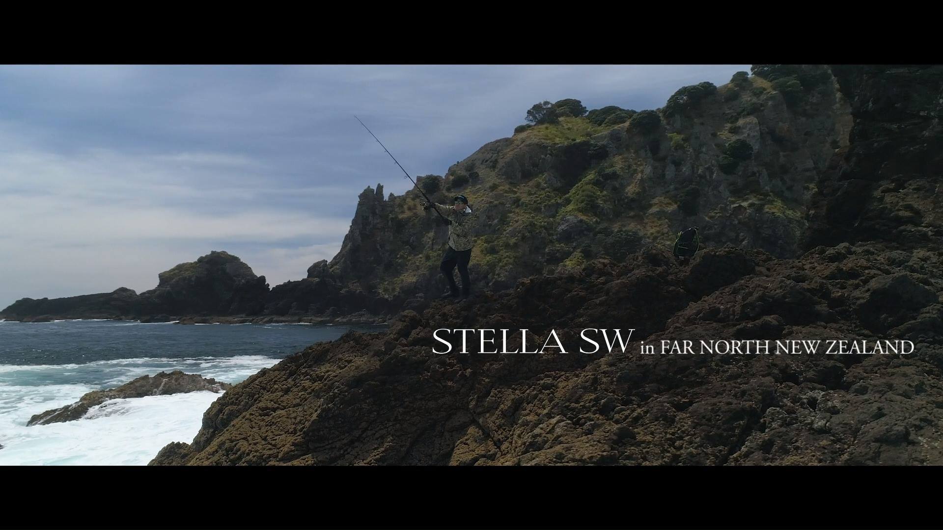 2019 shimano stella nz SW 10000 PG Spinning Reel – Best Deal @ D star fishing tackle Mount Albert XX Tough Drag is now coupled with Heatsink Drag Stella SW 2019 launch!, We
