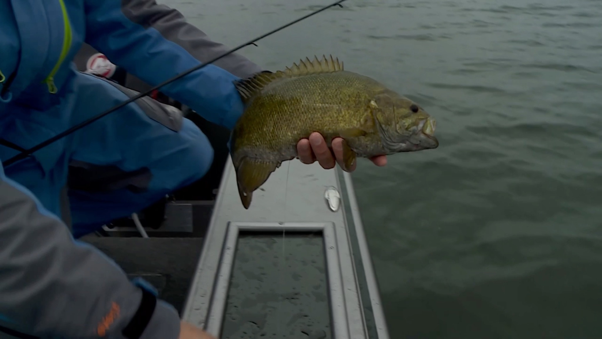 The Ned rig is always a fish-catching machine. Troy Lindner catches a ...