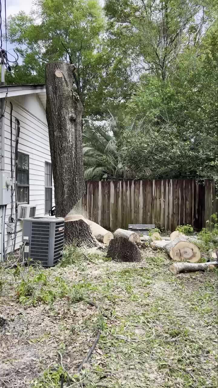 Eric's Tree Service | Milton FL