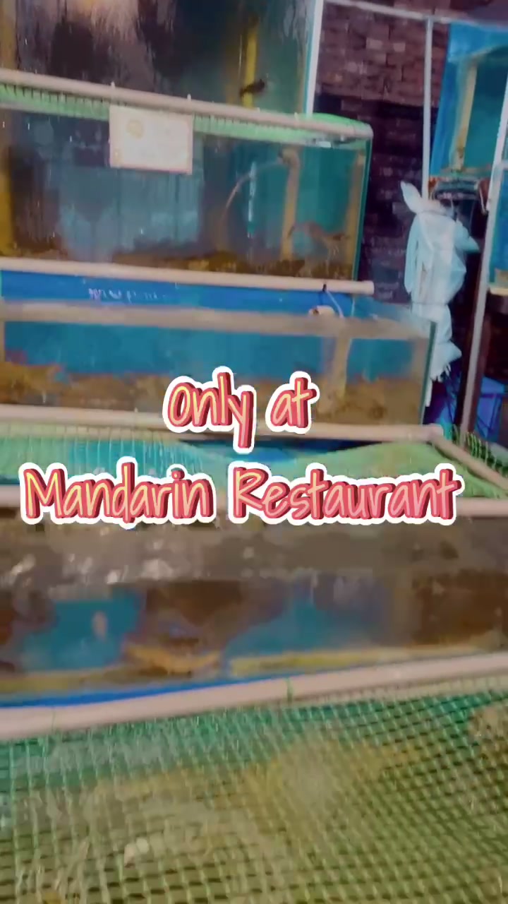 豪华大酒楼mandarin 1992 Restaurant Home Bintulu Menu Prices Restaurant Reviews Facebook