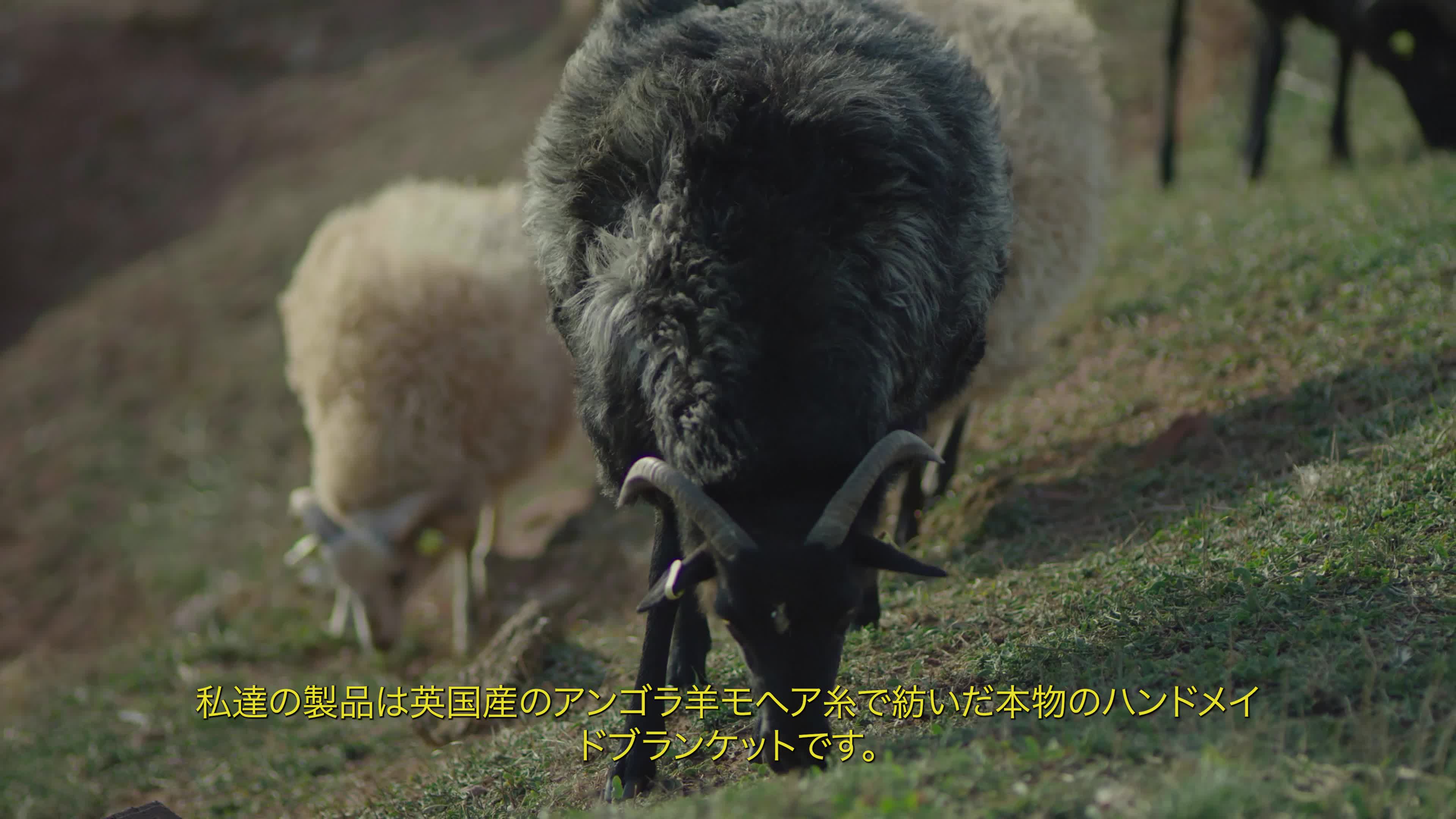 フィンランドのデザイナー レナ・レウェルの世界へようこそ。 レナ 
