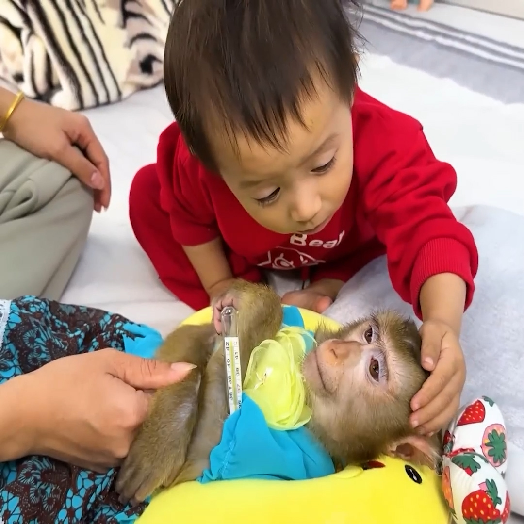 Diem is so cute carried monkey Kaka out for mom to check health | A Bi ...