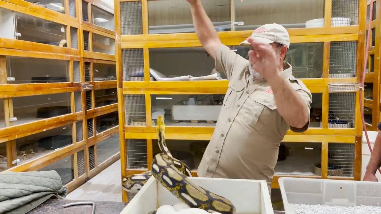 Wildlife and Jayprehistoricpets Fans