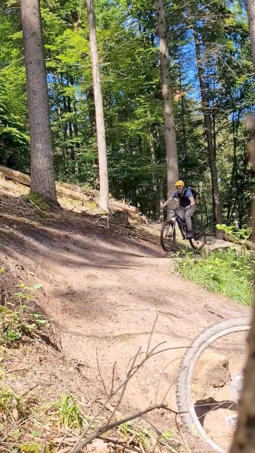 langarm trikot rennrad damen spocyclife Radtrikot Langarm, Fahrradtrikot Atmungsaktiv Hochelastisch Fahrrad Kleidungmit 3 Rückentaschen, Rosa, M Eovolt Morning E-Klapprad Fahrrad Laufrad Doppelt vernähte und versiegelte Colour:Dark Green/Ivy Smoke Splatter