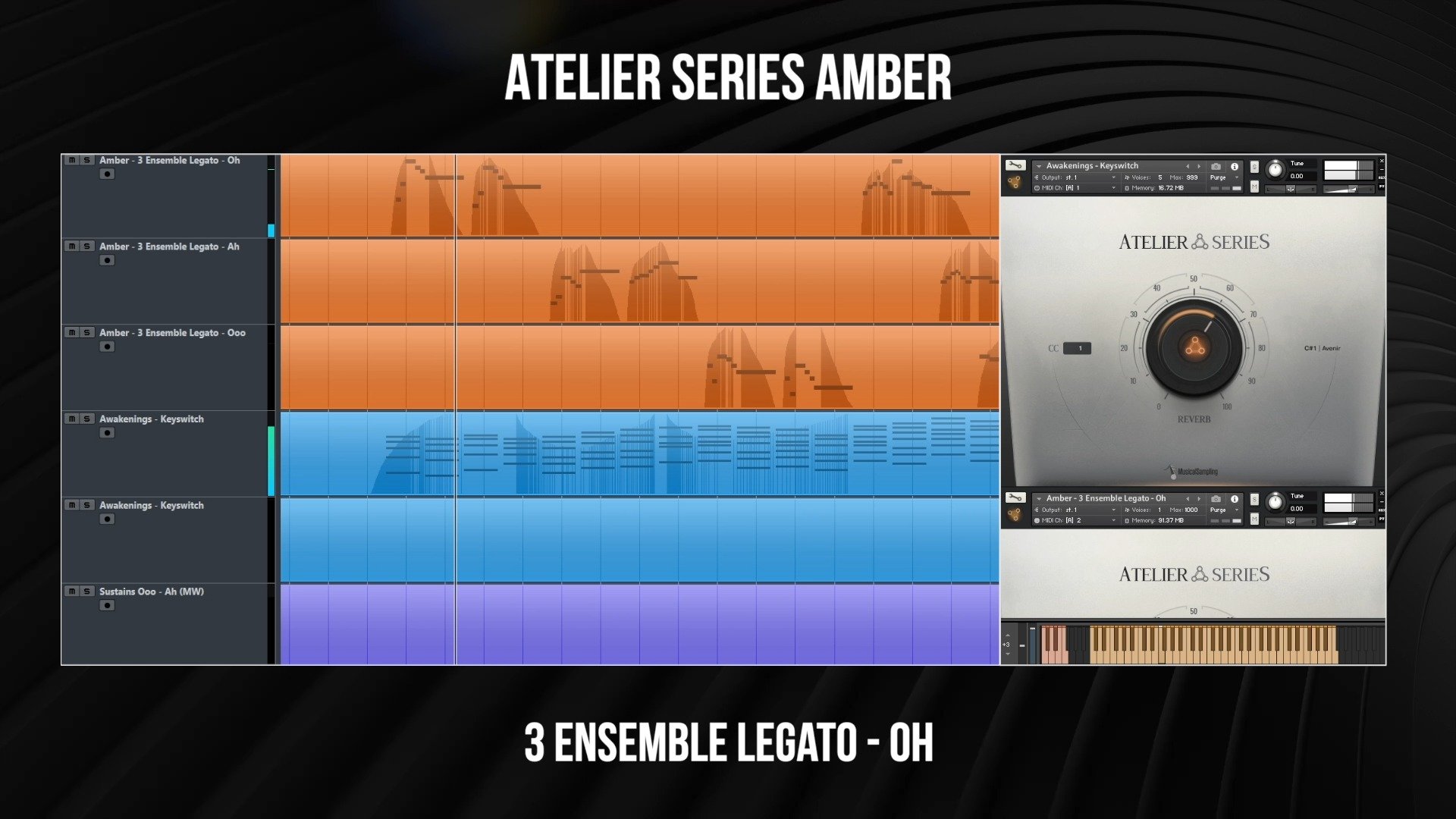 Musical Sampling