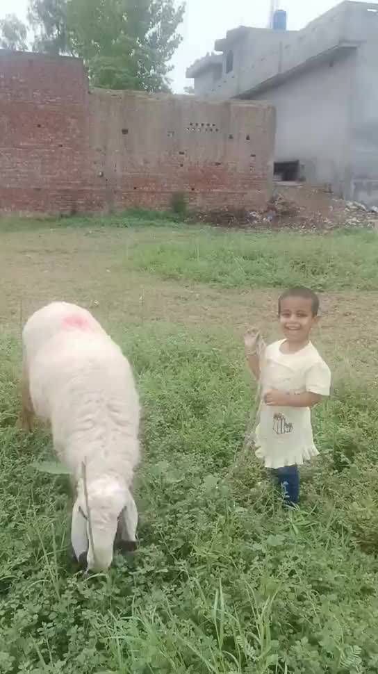 Zainab Rizwan