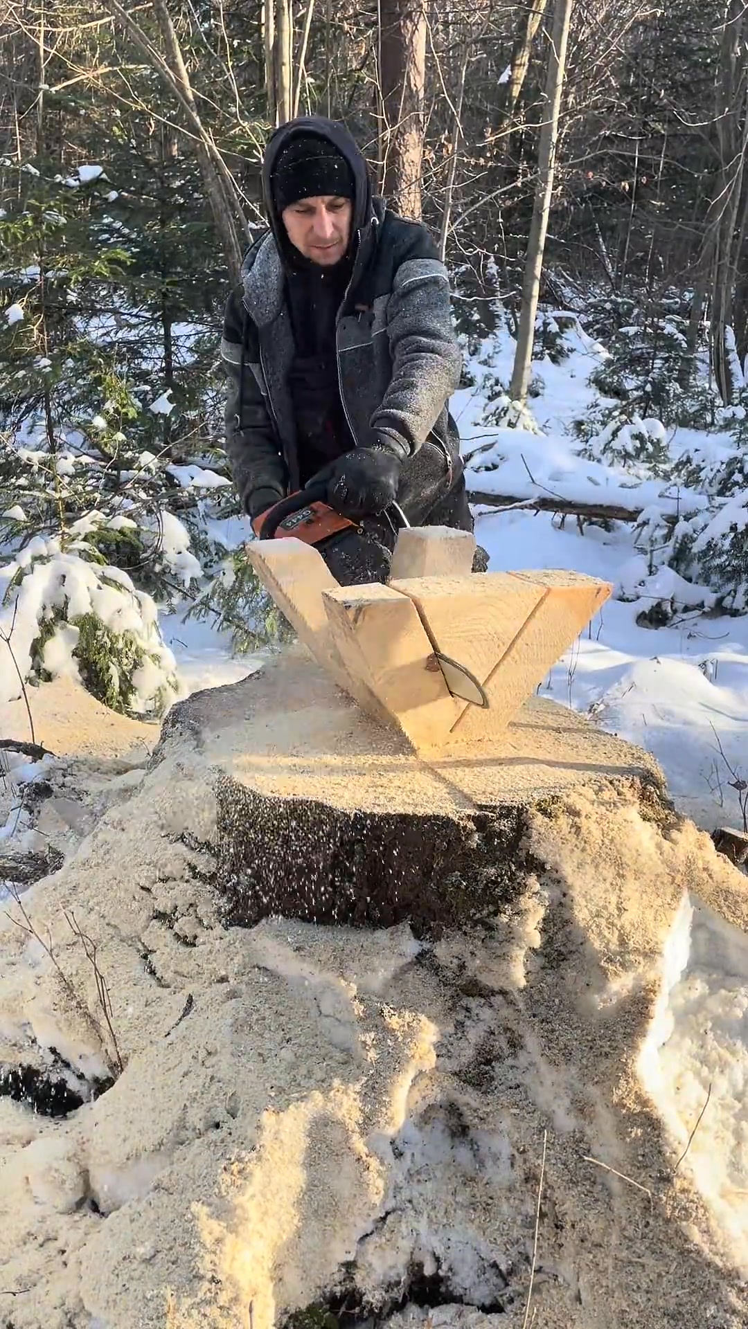 Wood Working On The Tree And Woods #wood #working #woodworking #trees # ...