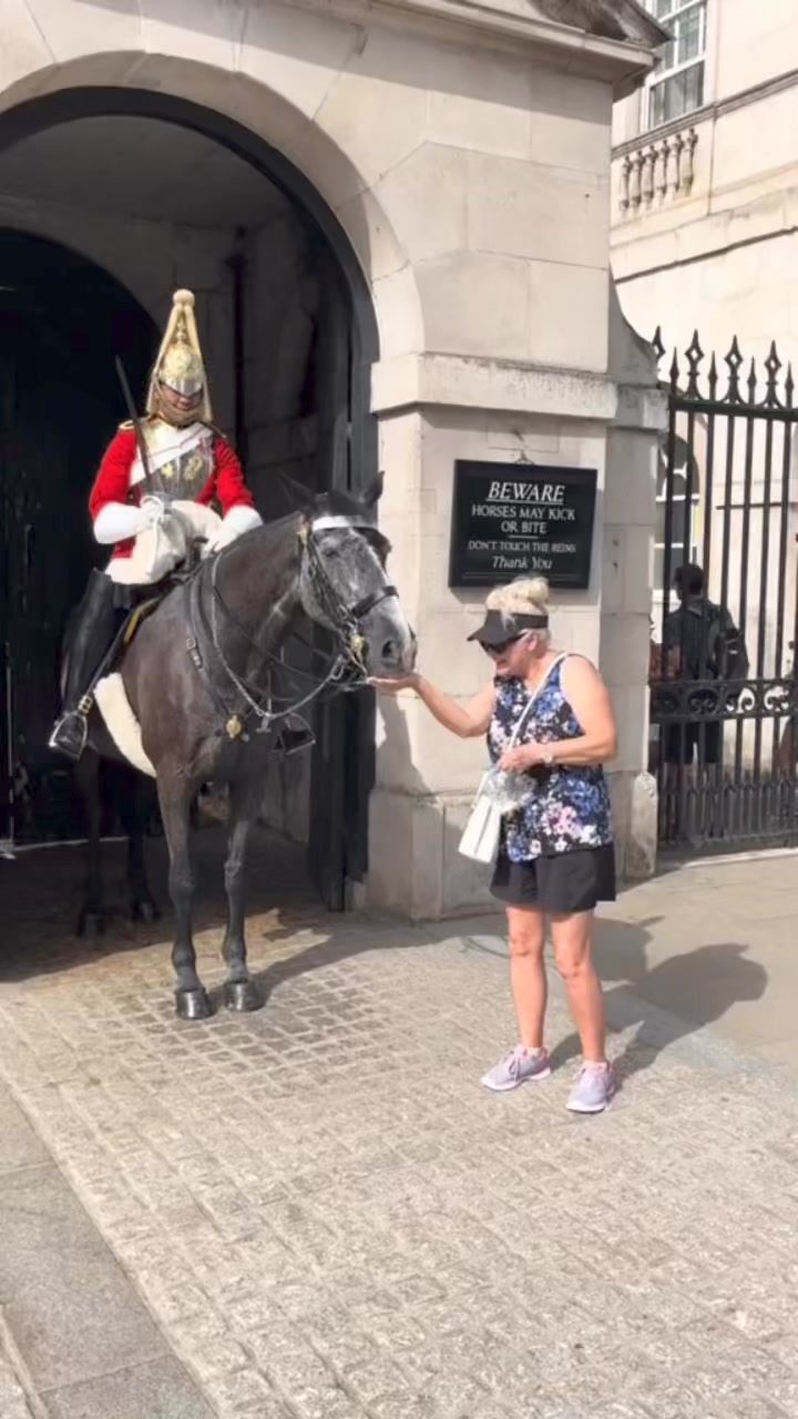 Guard Peter Ellis, Do you know him 🫡 ️🥰 #king #guard #uk #peter # ...