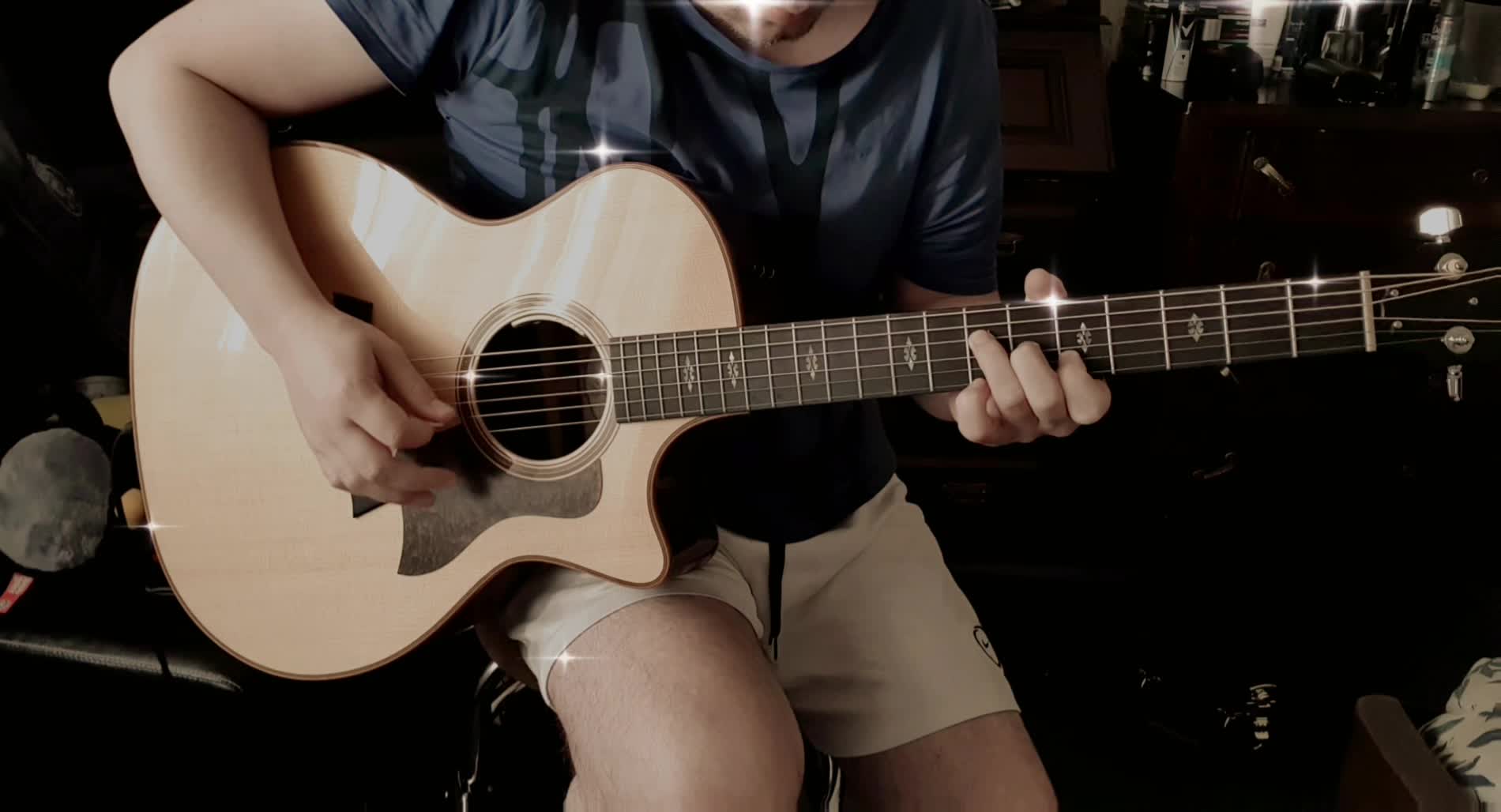What is the LR Baggs pickup in a Taylor 514 guitar?