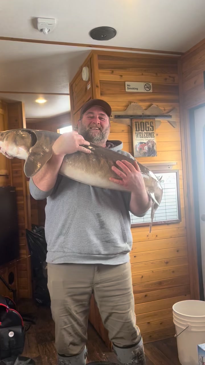 Smash N' Fish