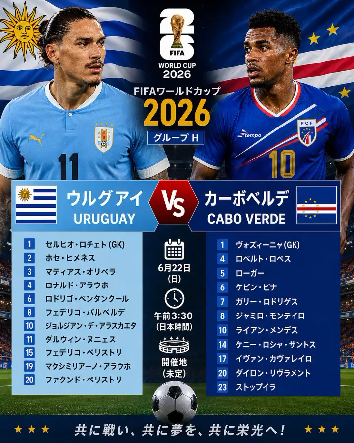 日本vsオランダ戦のVIPチケットの中身を大公開！マジ最高でした