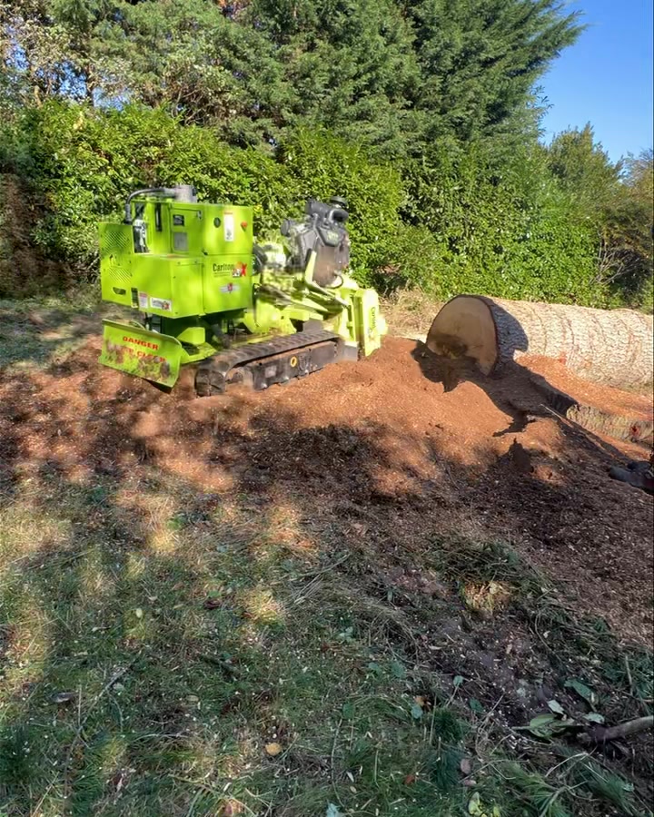 GPC Tree Surgeons | London