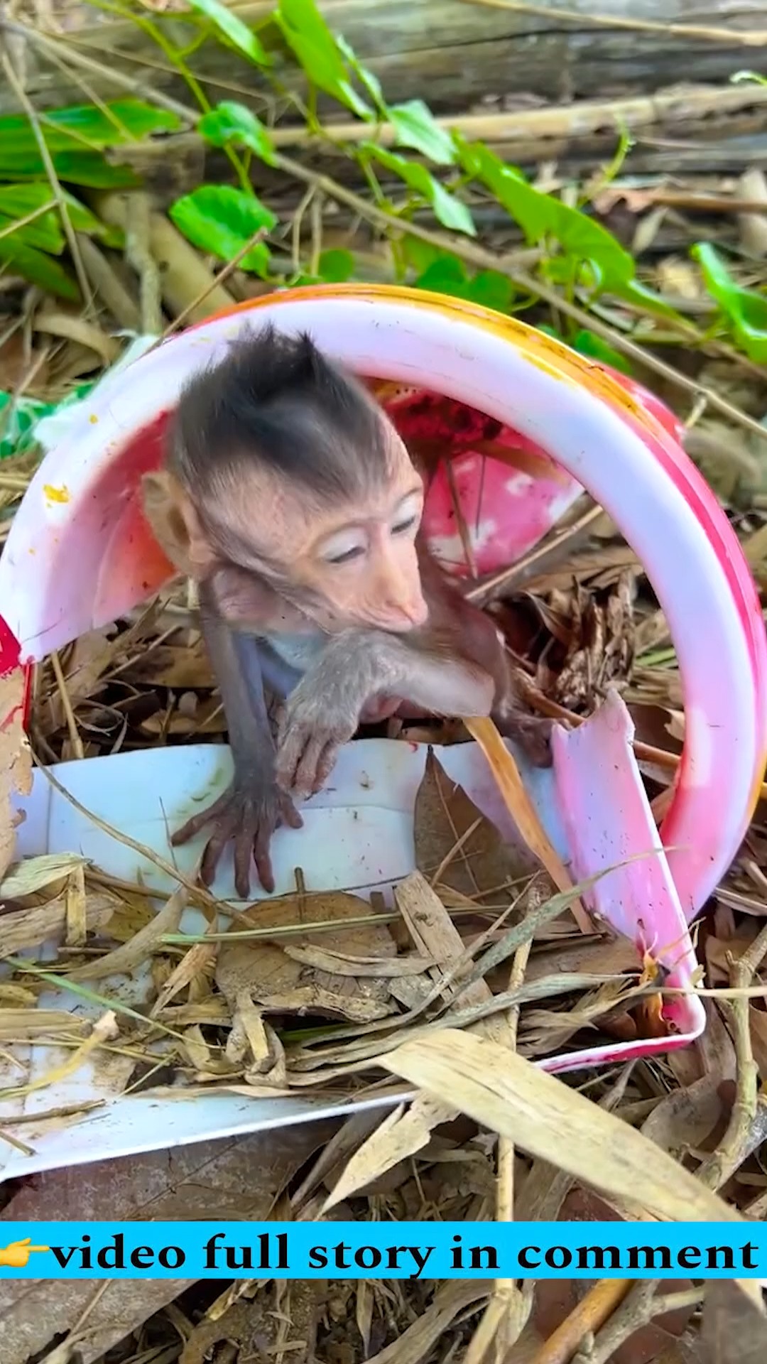 You need to know about the life of poorest+newborn baby was r-e-jecting ...