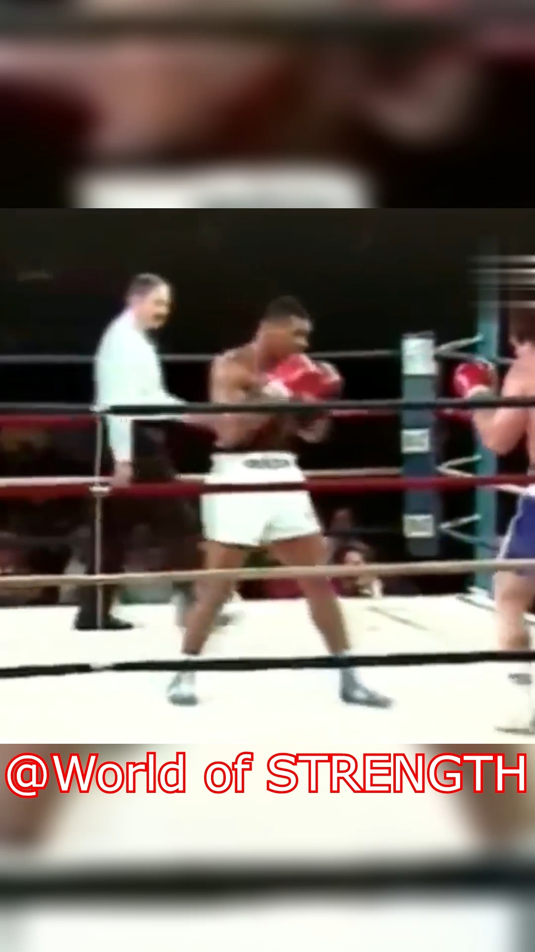 Mike Tyson vs Don Halpin #knockout #box #fighter | World of Strength ...