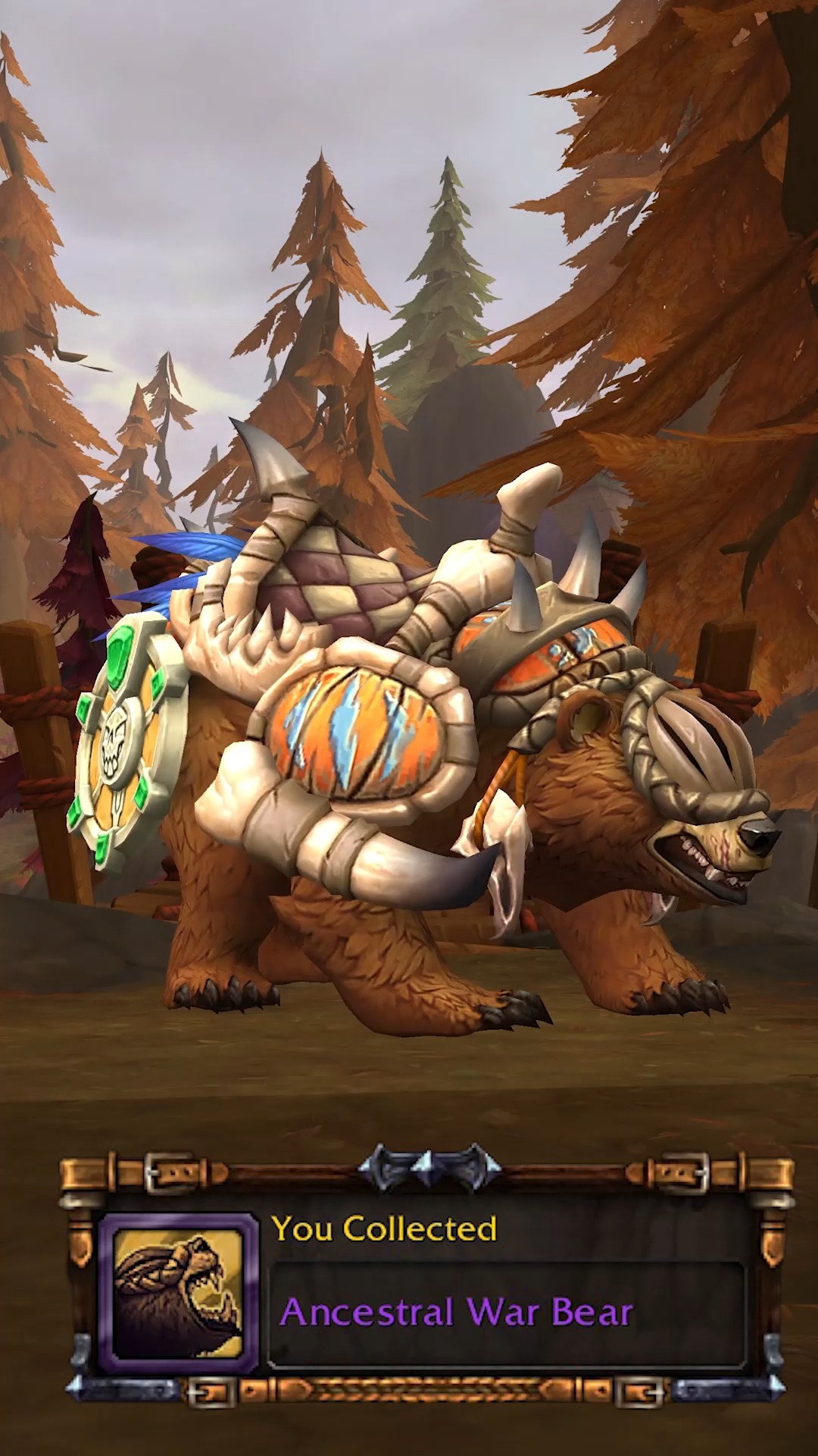 How-to Get Ancestral War Bear Mount in Midnight! #worldofwarcraft # ...