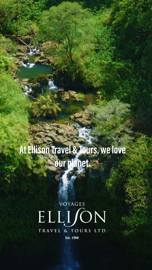 ellison-travel-tours
