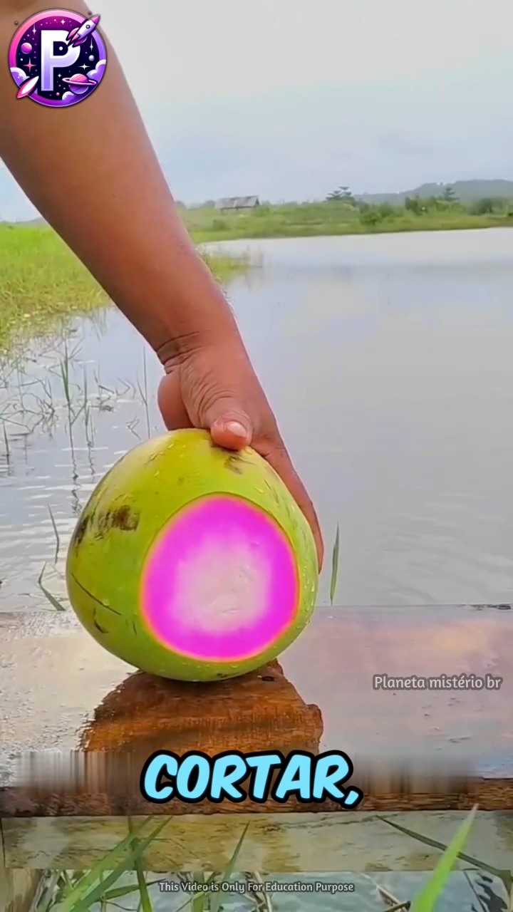 A Surpreendente Verdade Sobre a Água de Coco Rosa #águadecoco # ...