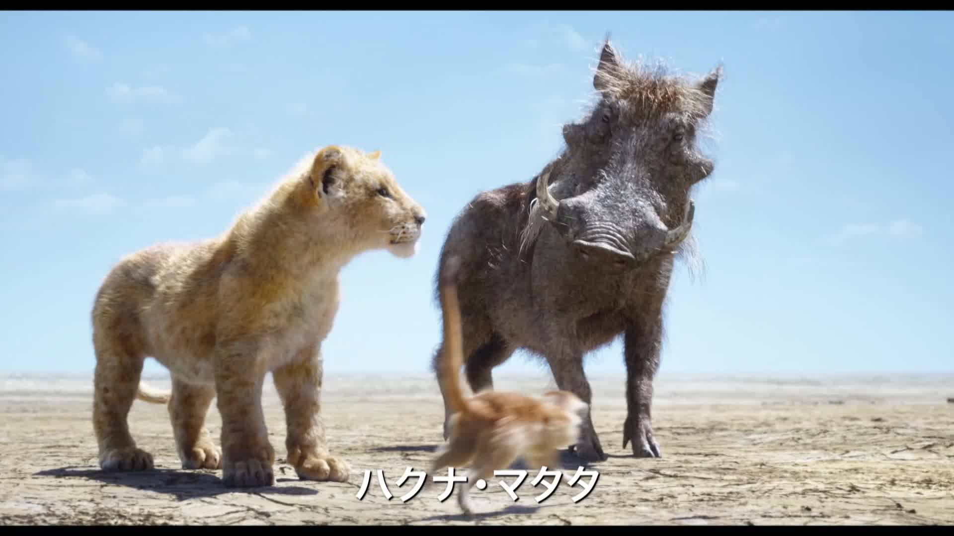 ハクナマタタ と は