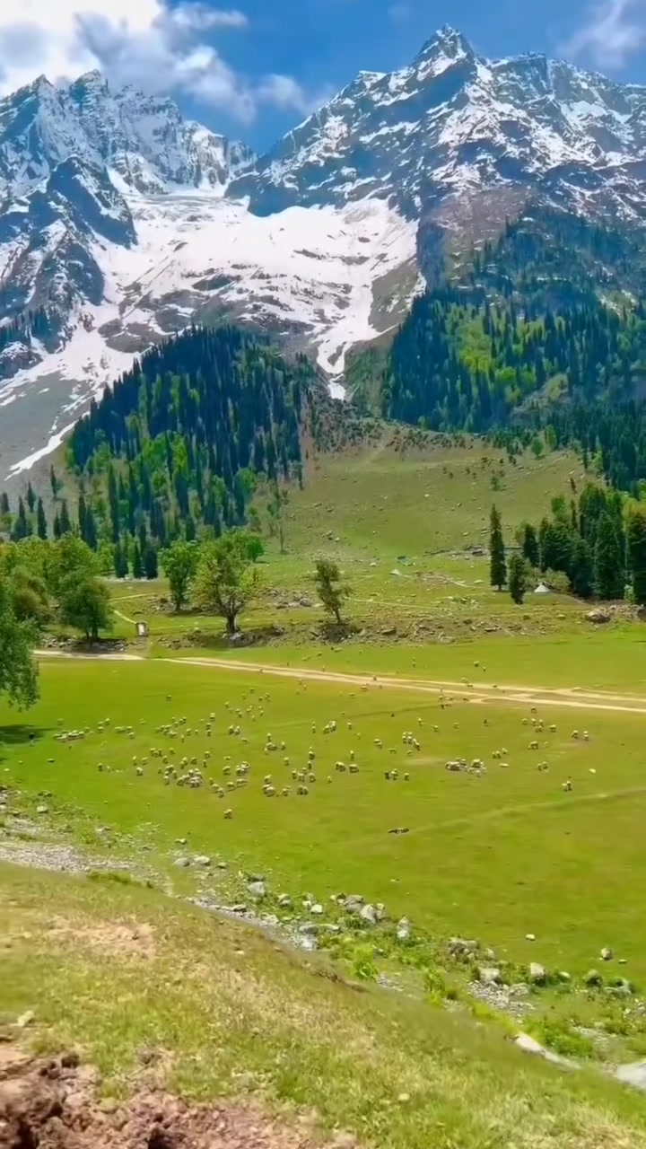 قورئانی پیرۆز | عیسای شوان