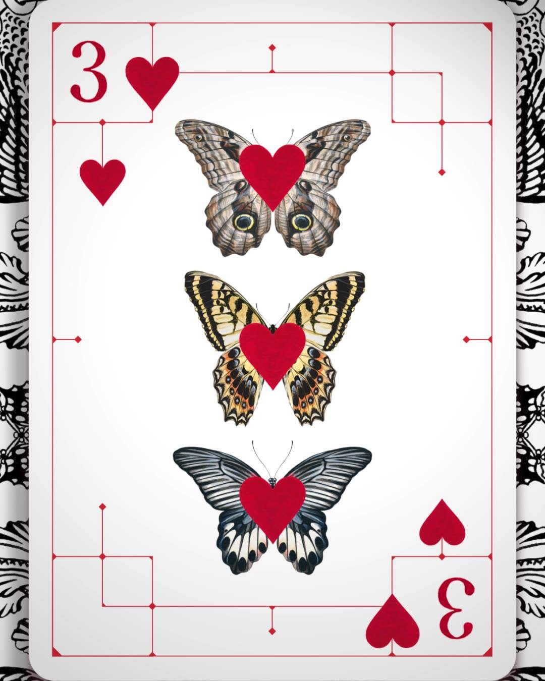 R*様 Alexander McQueen POSTCARD 16 CARD The Alexander McQueen Playing Cards. Discover #AlexanderMcQueen