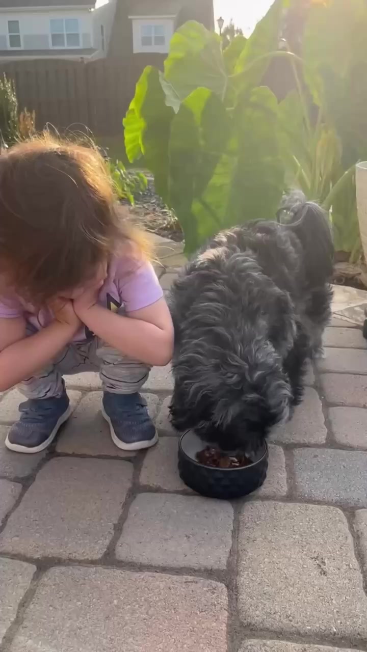 Pets First Choice