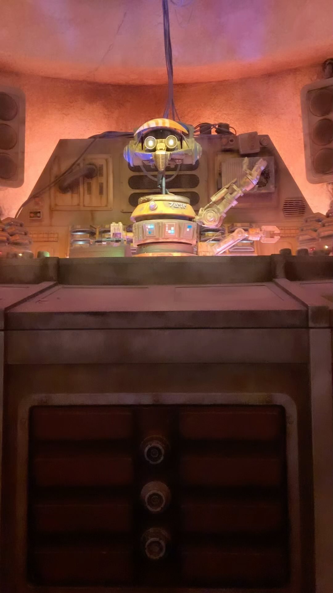 Does Galaxy's Edge sell remote control DJ R3X?