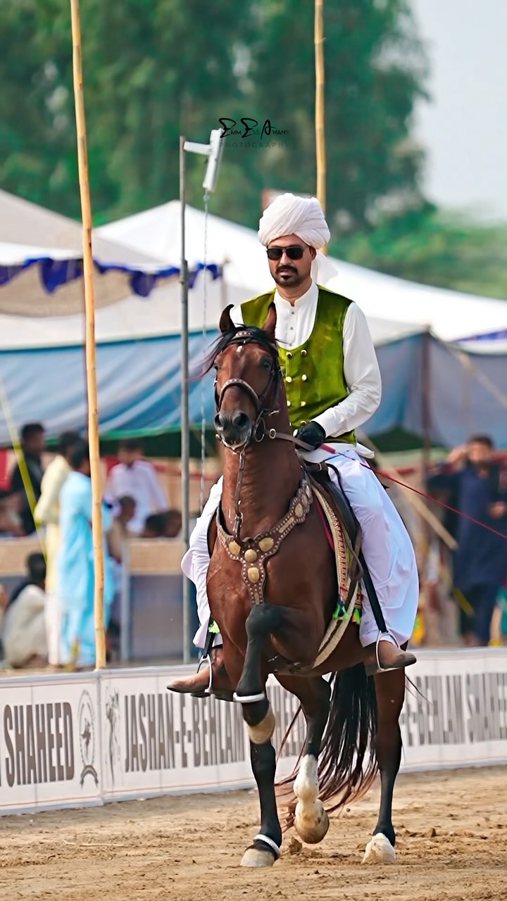 Well Raja Atif Well 🔥 ️ . . . #horsesofinstagram #horses # ...