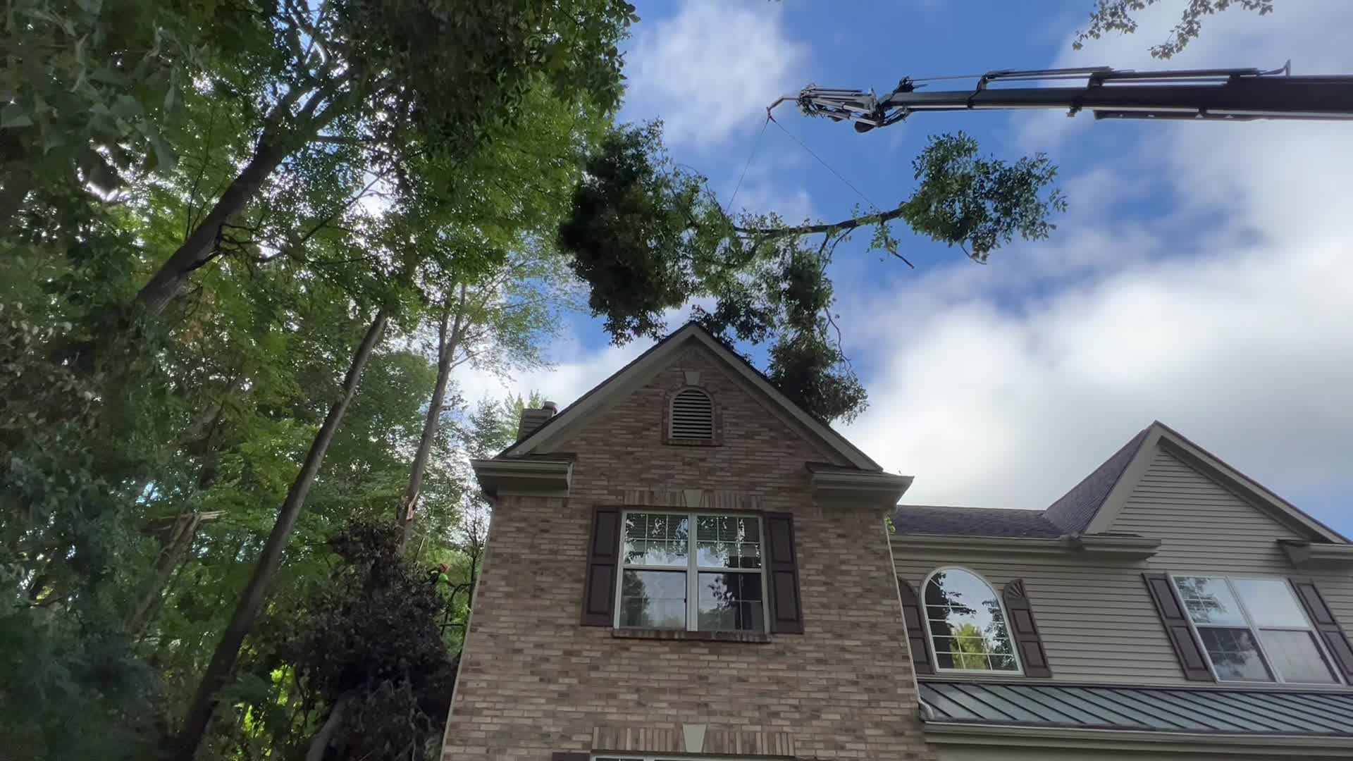 Patriot Tree Removal LLC | Oxford MI