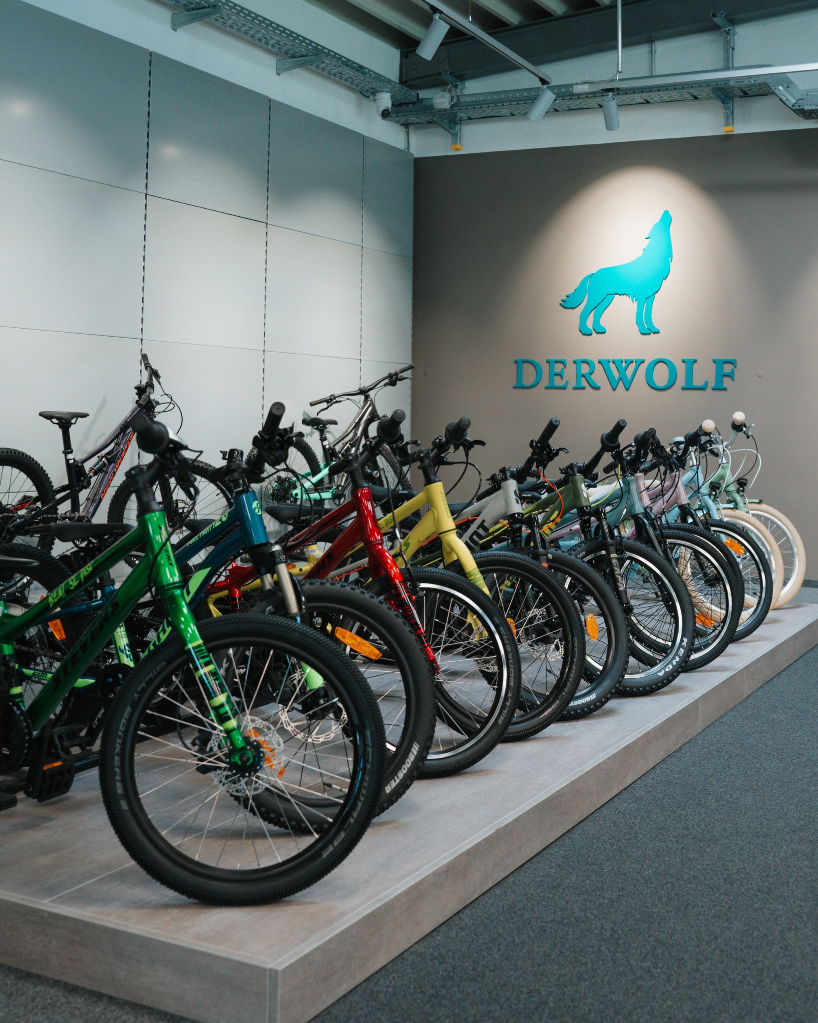 trek mountainbike grau Fuel+ EX 5 Gen 2 Matte Olive Grey/Trek Black 2026 JZ Its built with special Color:Gloss Kelp Green Verbotszeichen Handschuhe tragen verboten