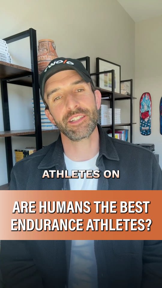 What humans are uniquely good at, however, is carrying weight. We’re ...