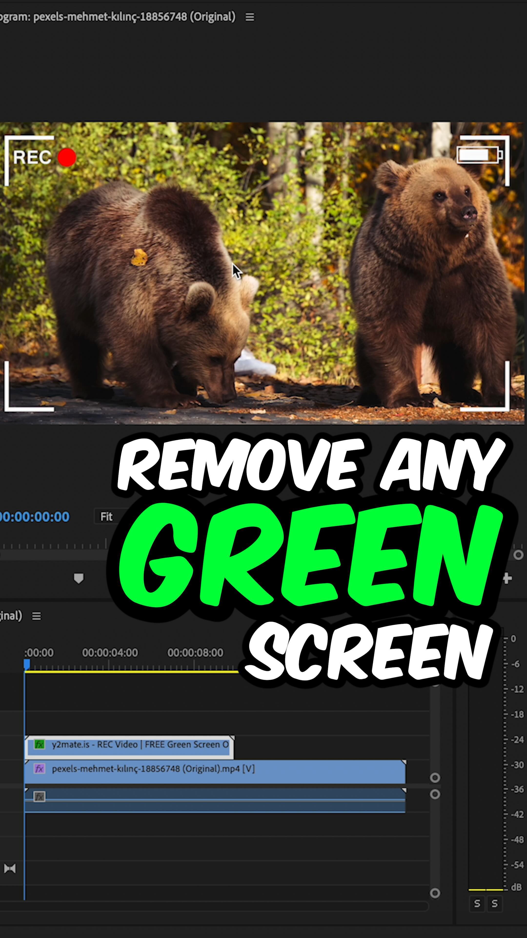 The Canon Geek - The power of color grading. 🎨 • • •... | Facebook