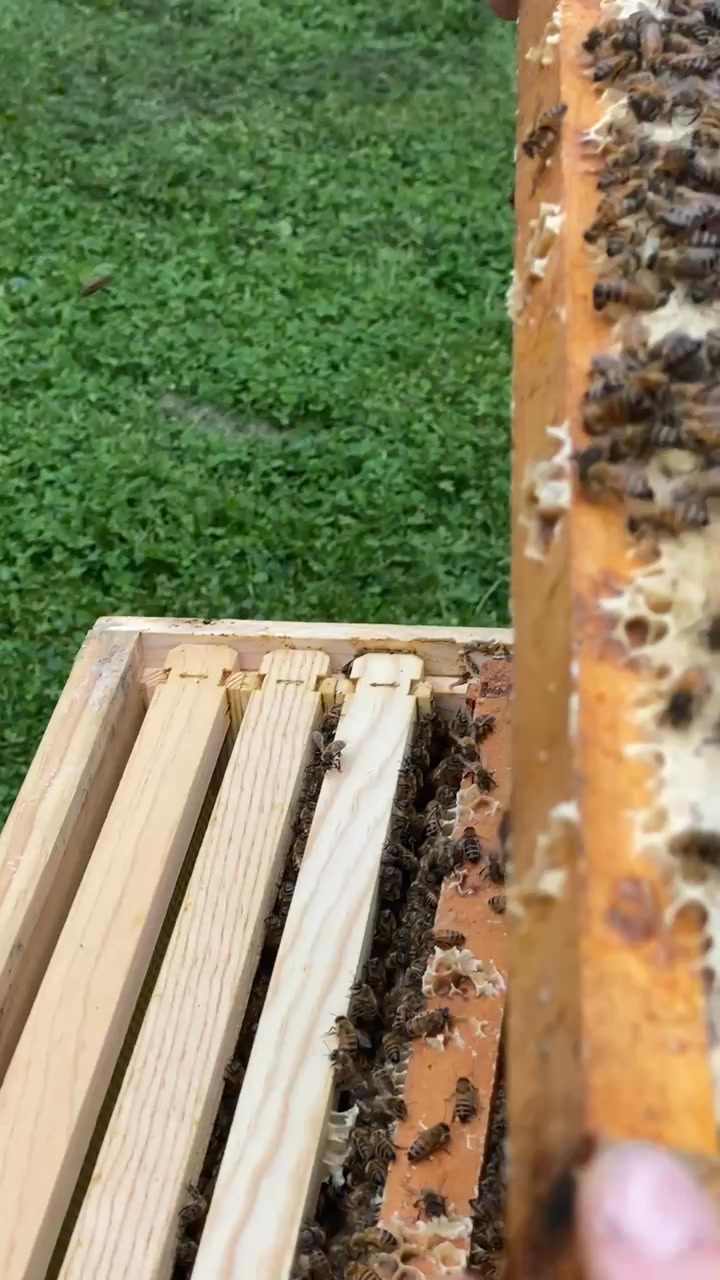 It took a little longer for them to move in than I expected but still ...