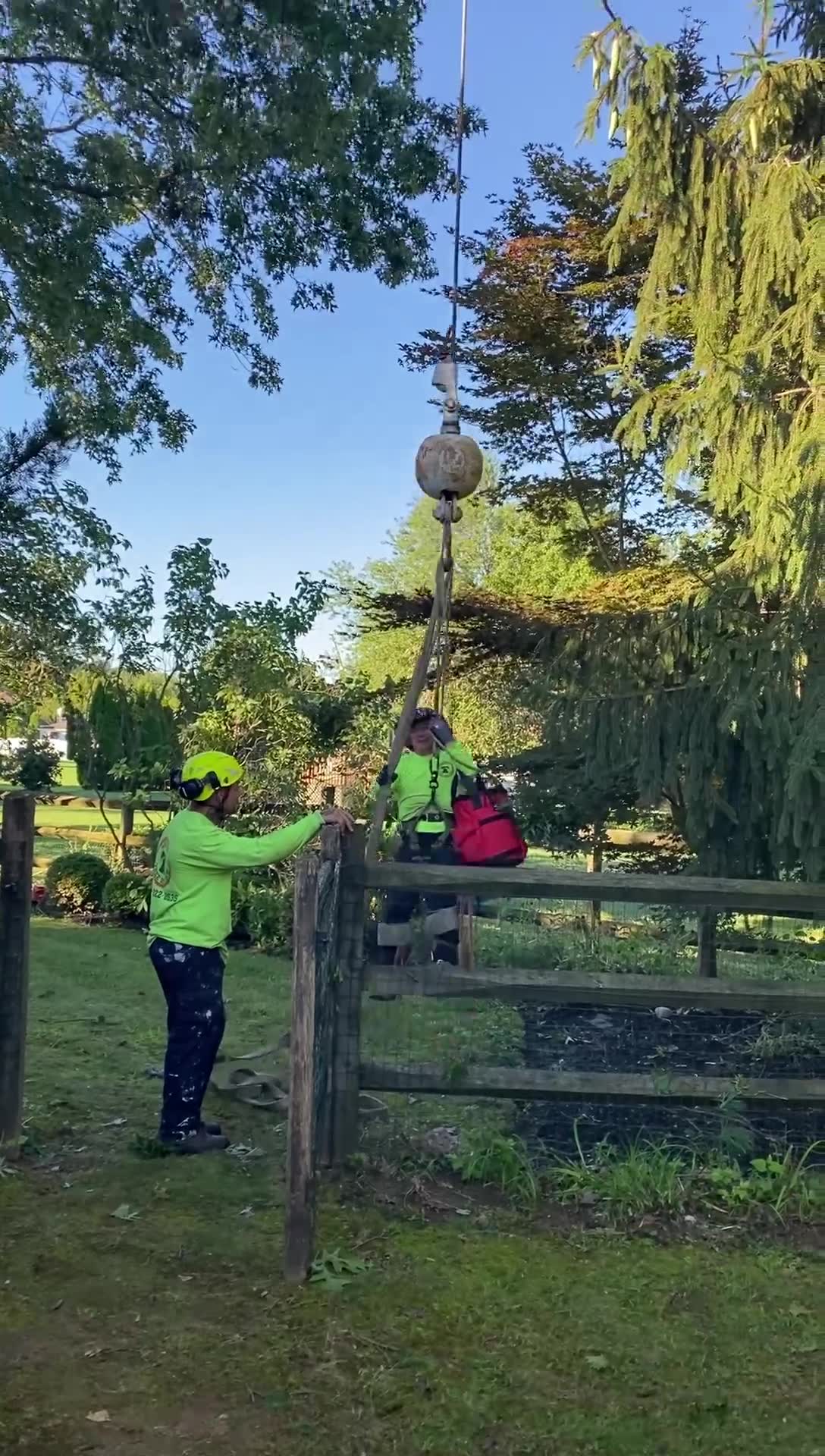 Liberty Tree Service - Home