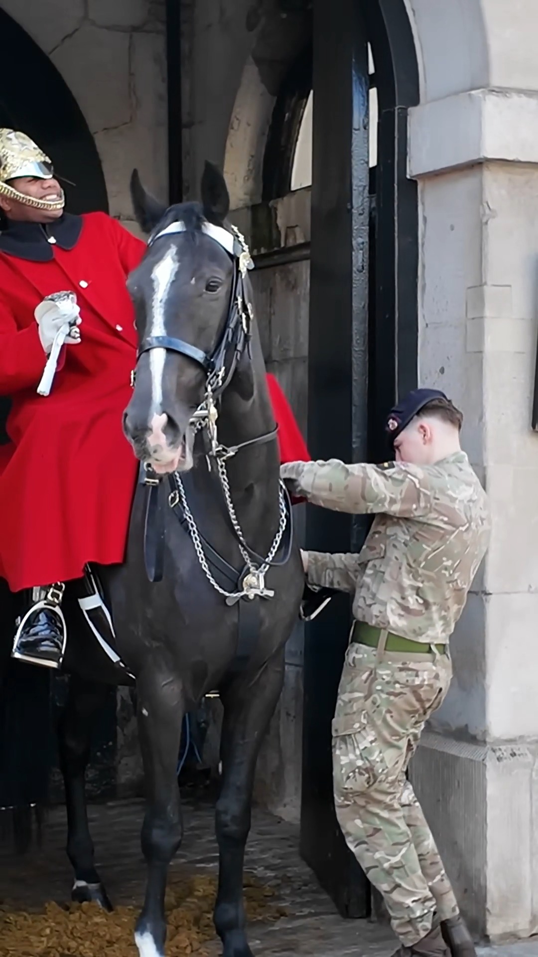 King's Guard gets some help from the Trooper! #queensguard #kingsguard ...