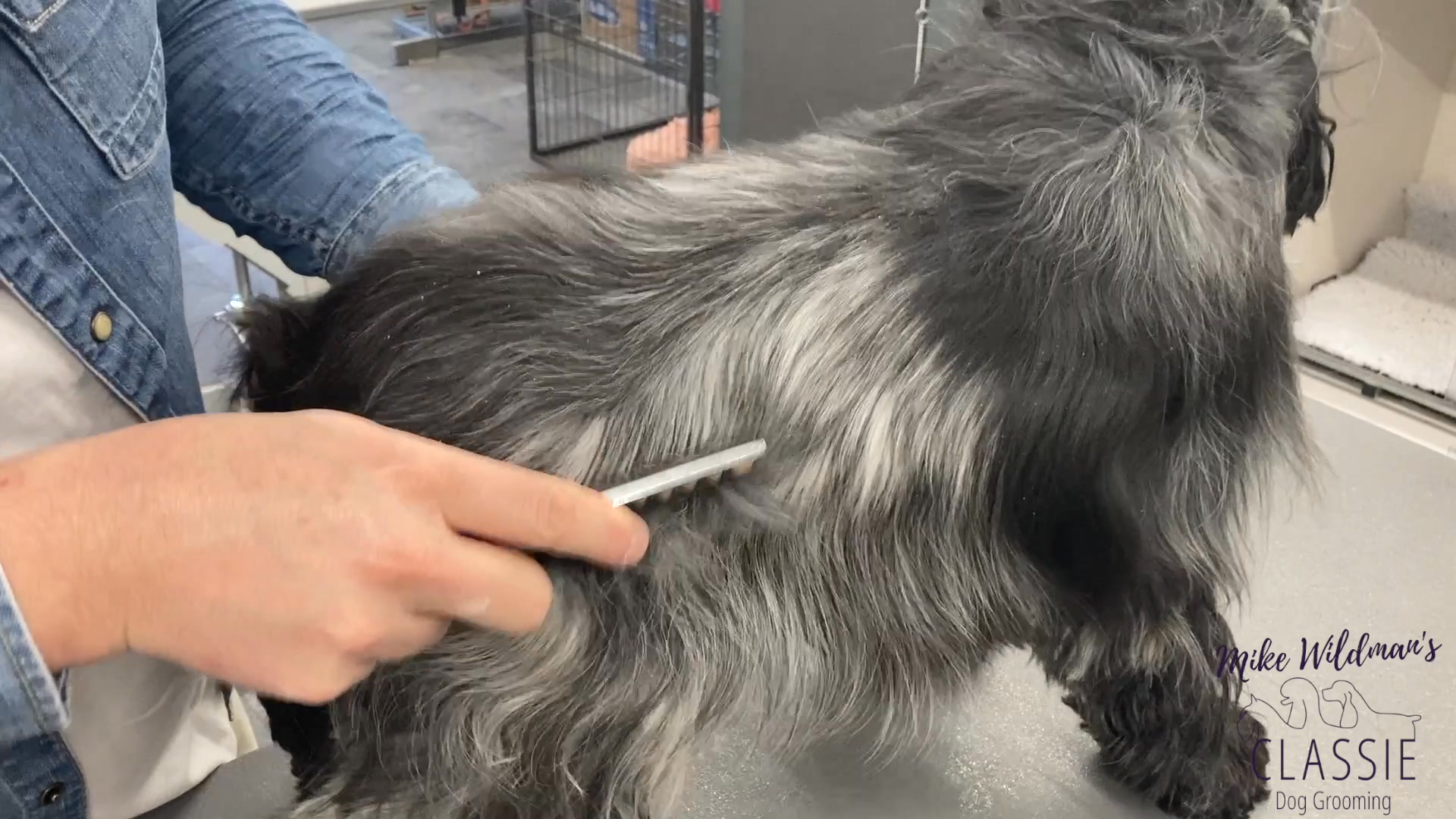 FREE BANDED COMB offer - (limited availability) The 'Banded Comb' is an ...