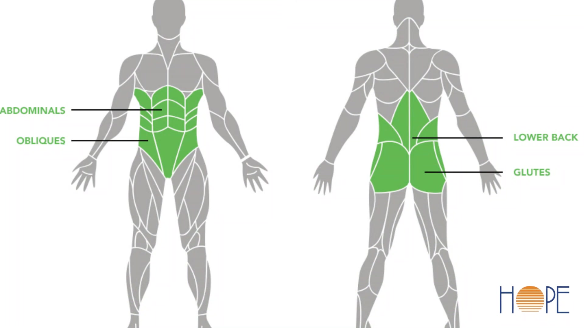 Core is the central part of your body. It includes your pelvis 