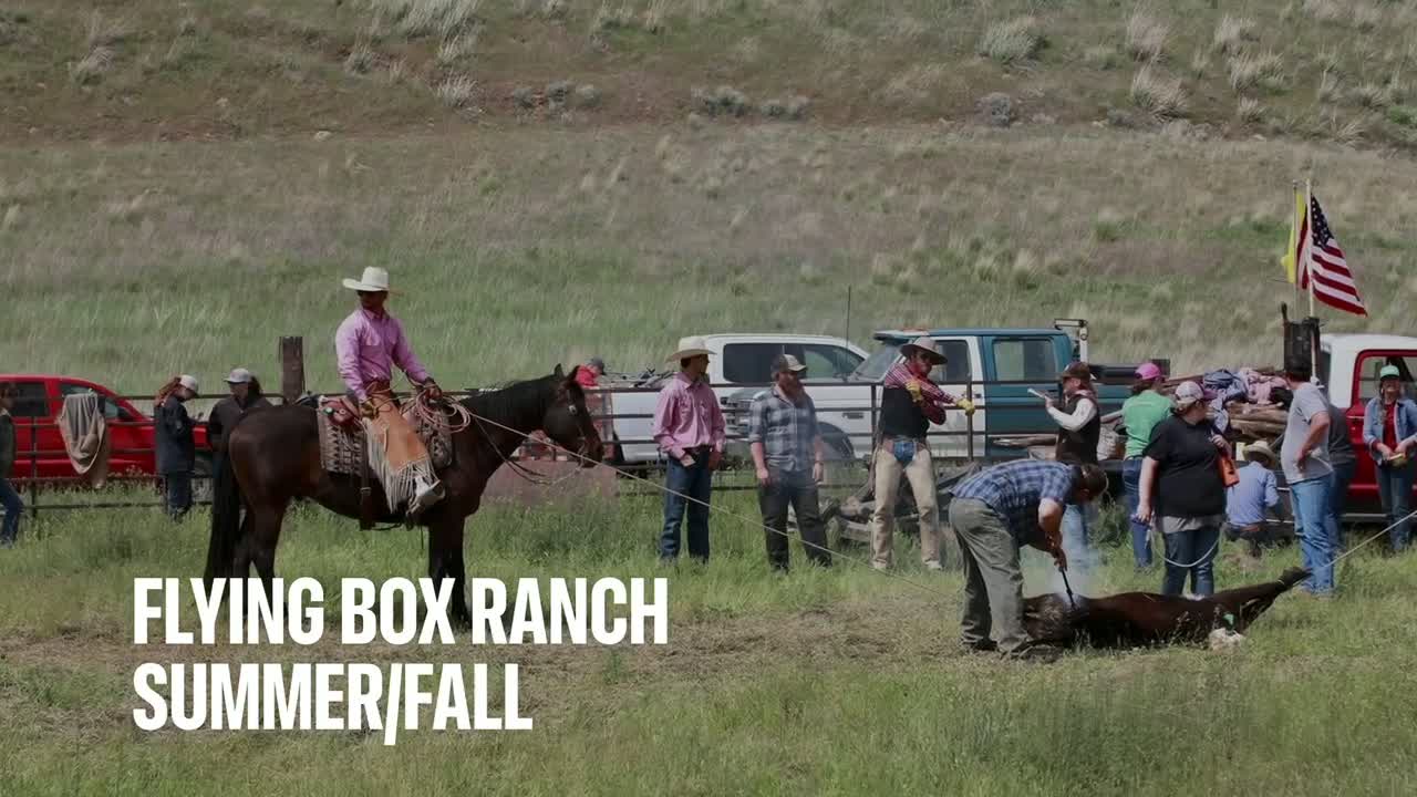 Flying Box Ranch - Home | Facebook
