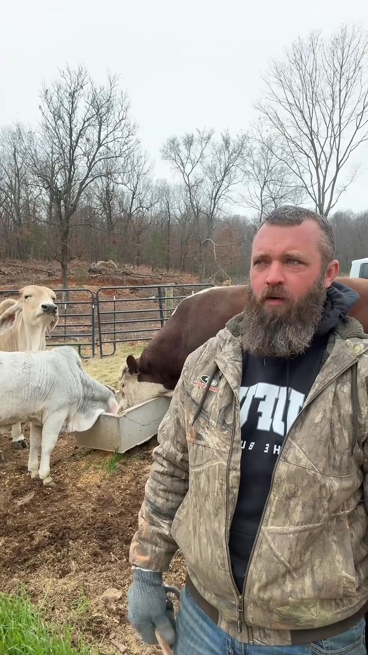 I am so sorry for being rude. #rufusthebull #rufus #cattle #farm ...