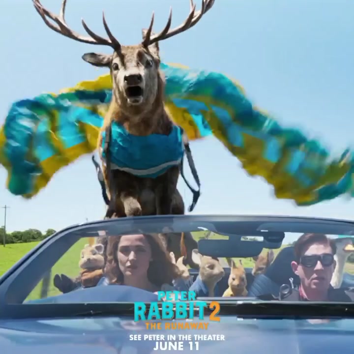 See Peter in the theater! 🍿 Get tickets now for PETER RABBIT 2: THE ...