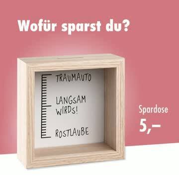 Traumauto oder doch einfach nur um Millionär zu sein? 🤑 | TEDi Deutschland