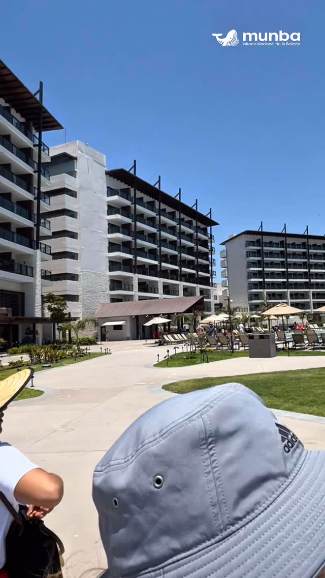 munba | Mazatlán