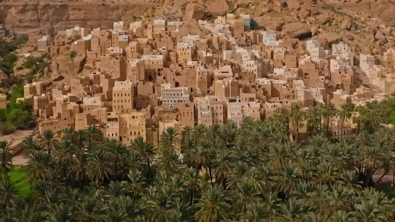 عسل دوعن - حضرموت