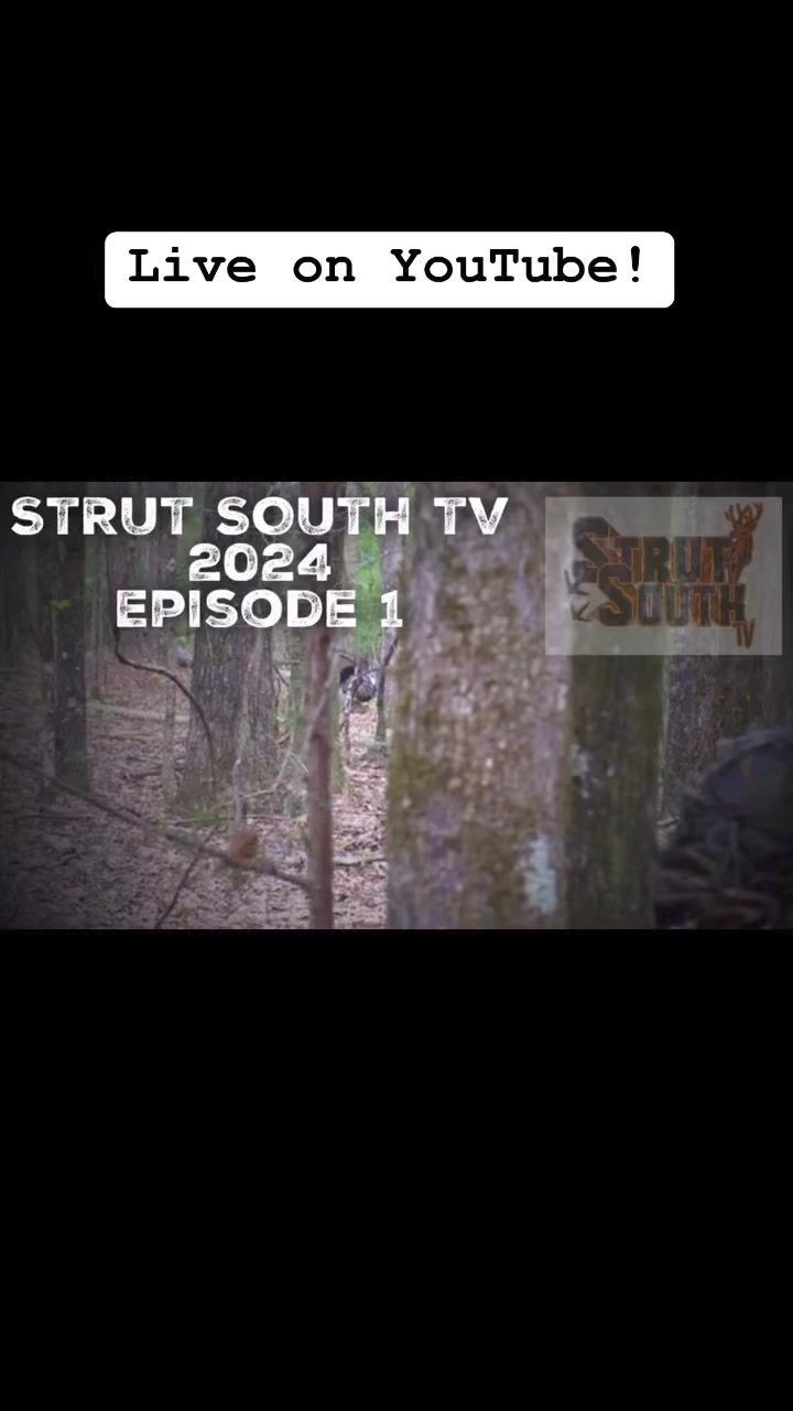 Strut South TV